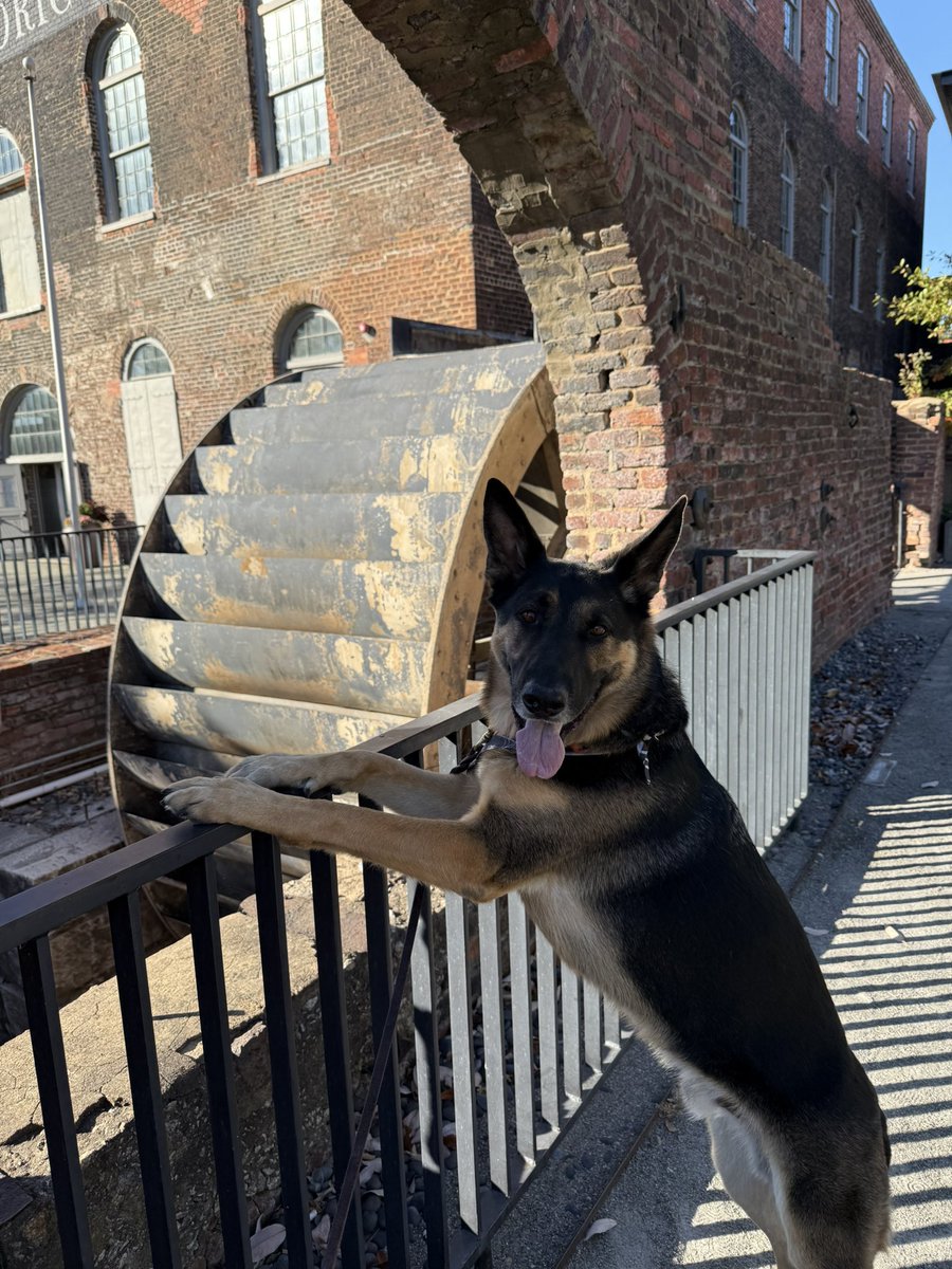 Had a great day trip into Richmond this weekend. The Canal Walk was incredible and we really loved the time together. We spent about 4 hours walking the trail, grabbing coffee, and chatting with folks along the way. We will definitely be doing this again!