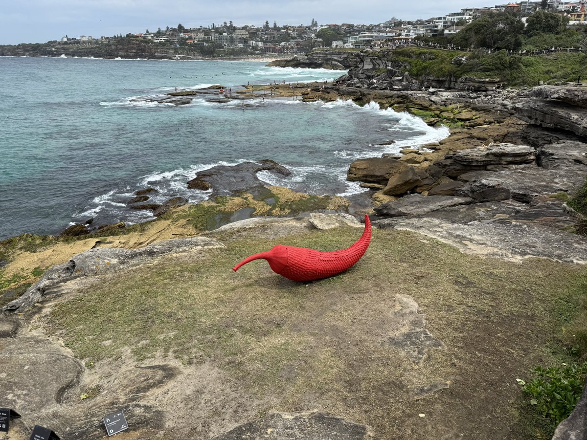 LucyzhengZheng's tweet photo. Simple happiness in life - met a handsome boi yesterday 🥰 (don’t tell my cat I cheated on him please!) and got to see Sculptures by The Sea exhibition on a perfect day.
Happy Monday everyone 🫶
#brownhusky #sculpturesbythesea #bondibeach #sydneyspring https://t.co/IgBwu0ZssS