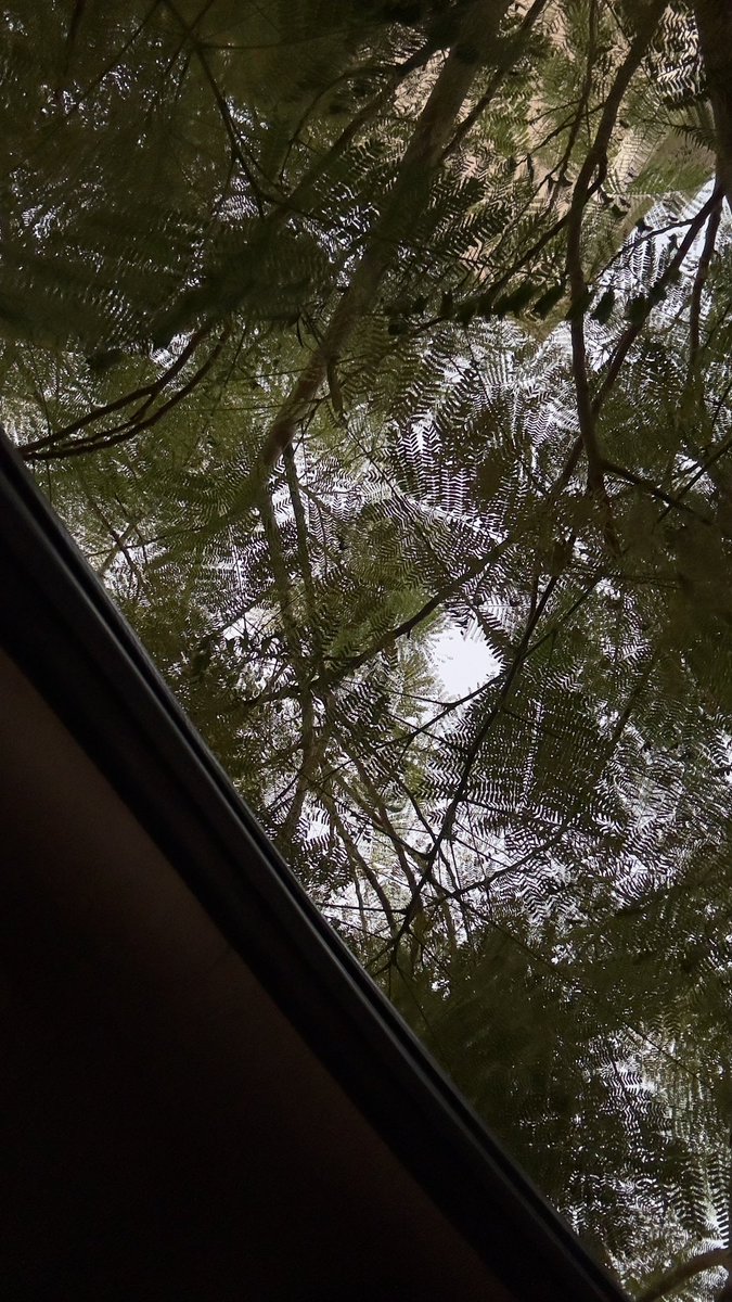 WN_W5's tweet photo. صباح الخير ..اما بعد :

بقدر المستطاع لا تجعل نفسك في المنتصف  
لا تصادق انصاف الاصدقاء ولا تعش نصف الحياة
ولا تختار نصف الحل ، النصف هو ان تصل وان لاتصل

وقيل على سياق ذلك : 

اما يروح أبعد من الجدي وسهيل 
ولا يصير أقرب من( زرار )ثـوبي . https://t.co/Q3VARW2Z9O