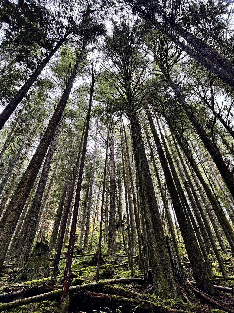 Sometimes the best problem solving is found walking among the giants.