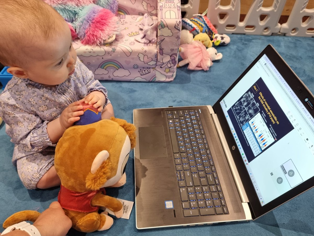 #LBBB Blue Monkey's cousin 🐒 and our emerging young scientist are listening in on our fascinating talks at #LBBB024 online from Australia 🇦🇺 <a href="/alyce_martin/">Alyce Martin</a>