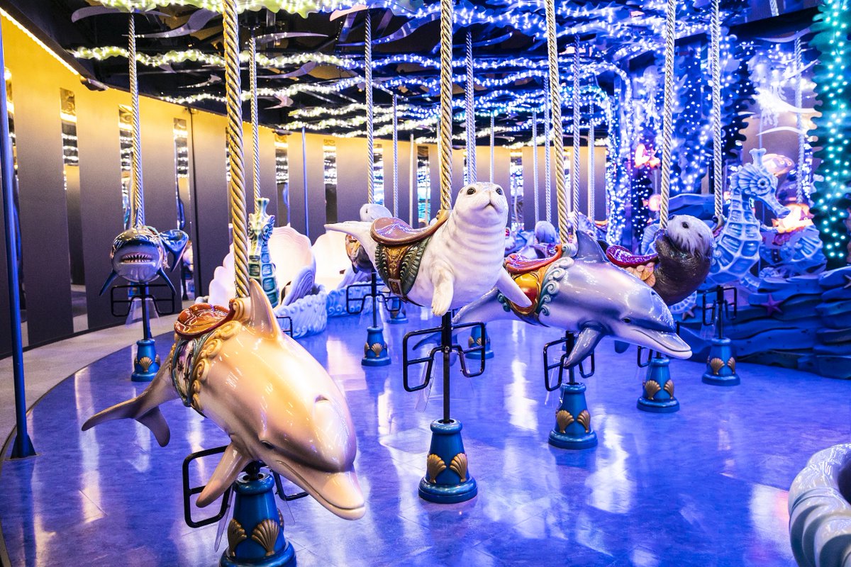 アクアパーク の海にまつわる2つのアトラクション✨ その1つ