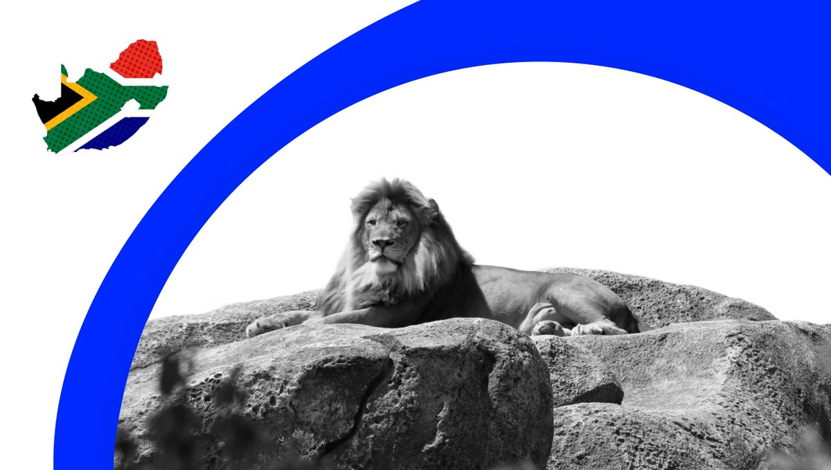 nt_programmatic's tweet image. Today we offer take a look at #programmatic  in South Africa 🇿🇦🚀

With increasing internet proliferation rate, digital advertising has become the number-one choice for brands in South Africa.  🔗 Read the full article to learn more 📎👉bit.ly/4fyAID9