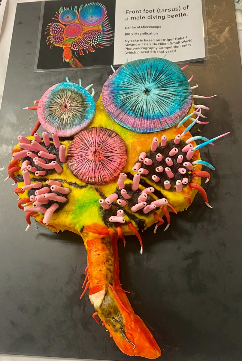 Louise Cole tweet media