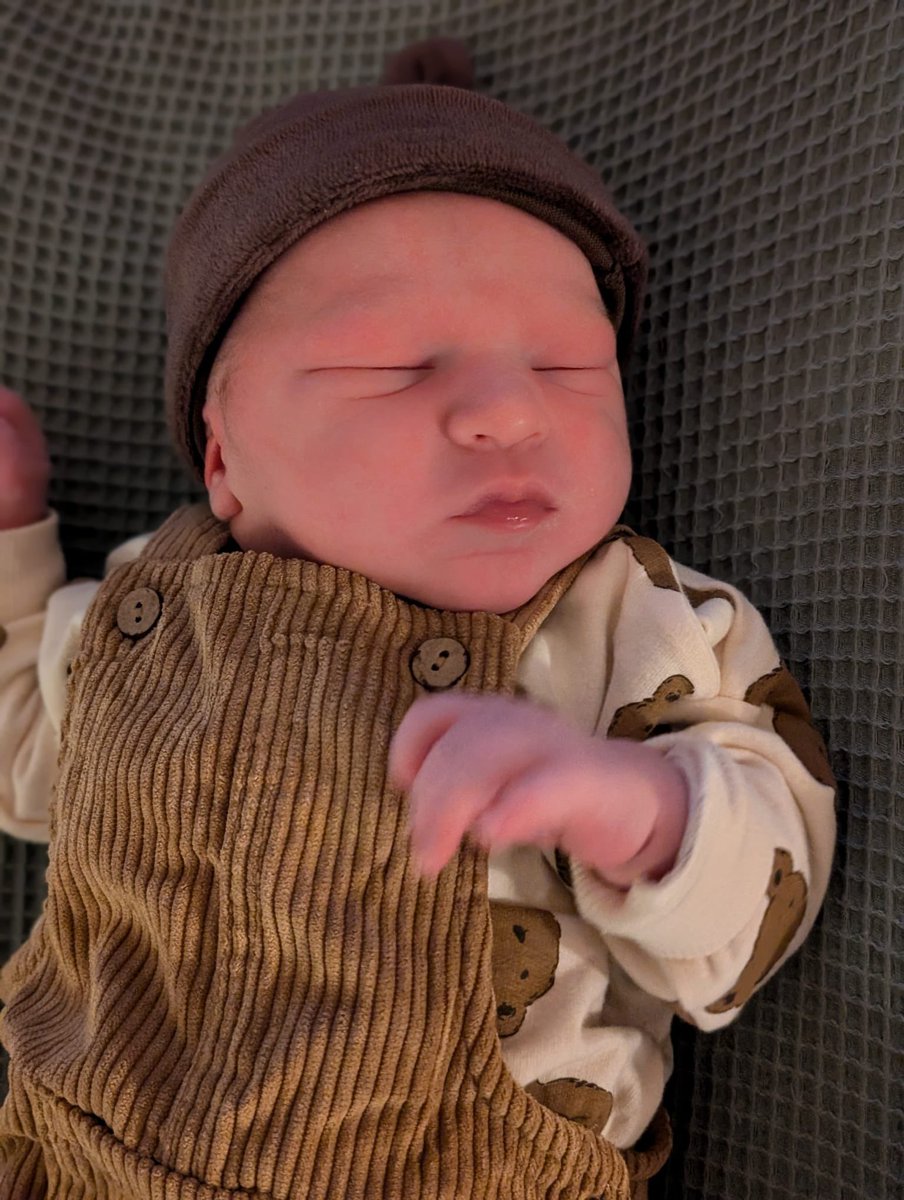 Auke Brouwer tweet media