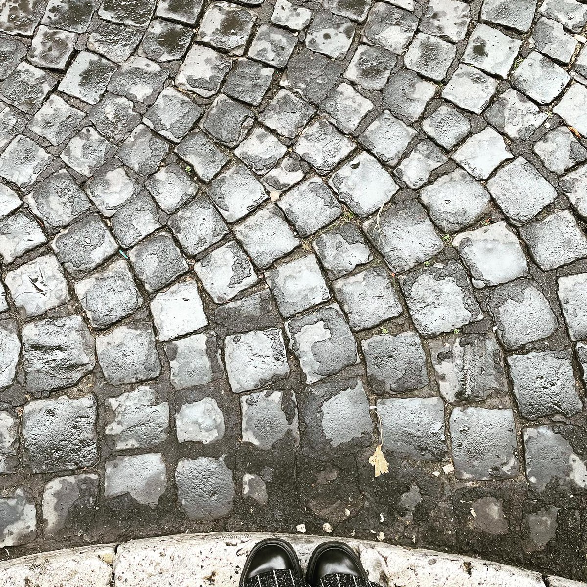 sampietrino's tweet image. Winter is coming
ph @bastet

#fromwhereistand #sampietrino #sanpietrino #sampietrini #sanpietrini #selciatoromano #roma #rome #cobblestones #romancobblestone #sampietriniromani #sanpietriniromani