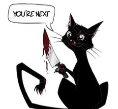 Noir45169's tweet photo. who will be next??? 👑🎏 #catondex #catcoin #catecoin #SimonCatCoin #cati #catizen #memecoin #bitcoin #TrumpVance2024 #KamalaHarris2024 #JBC #Onlyfan #treasure https://t.co/AmeVcyud2m