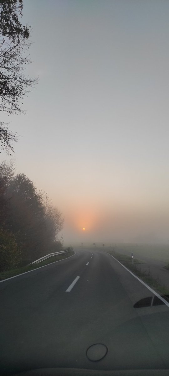 Gartenkoch tweet media