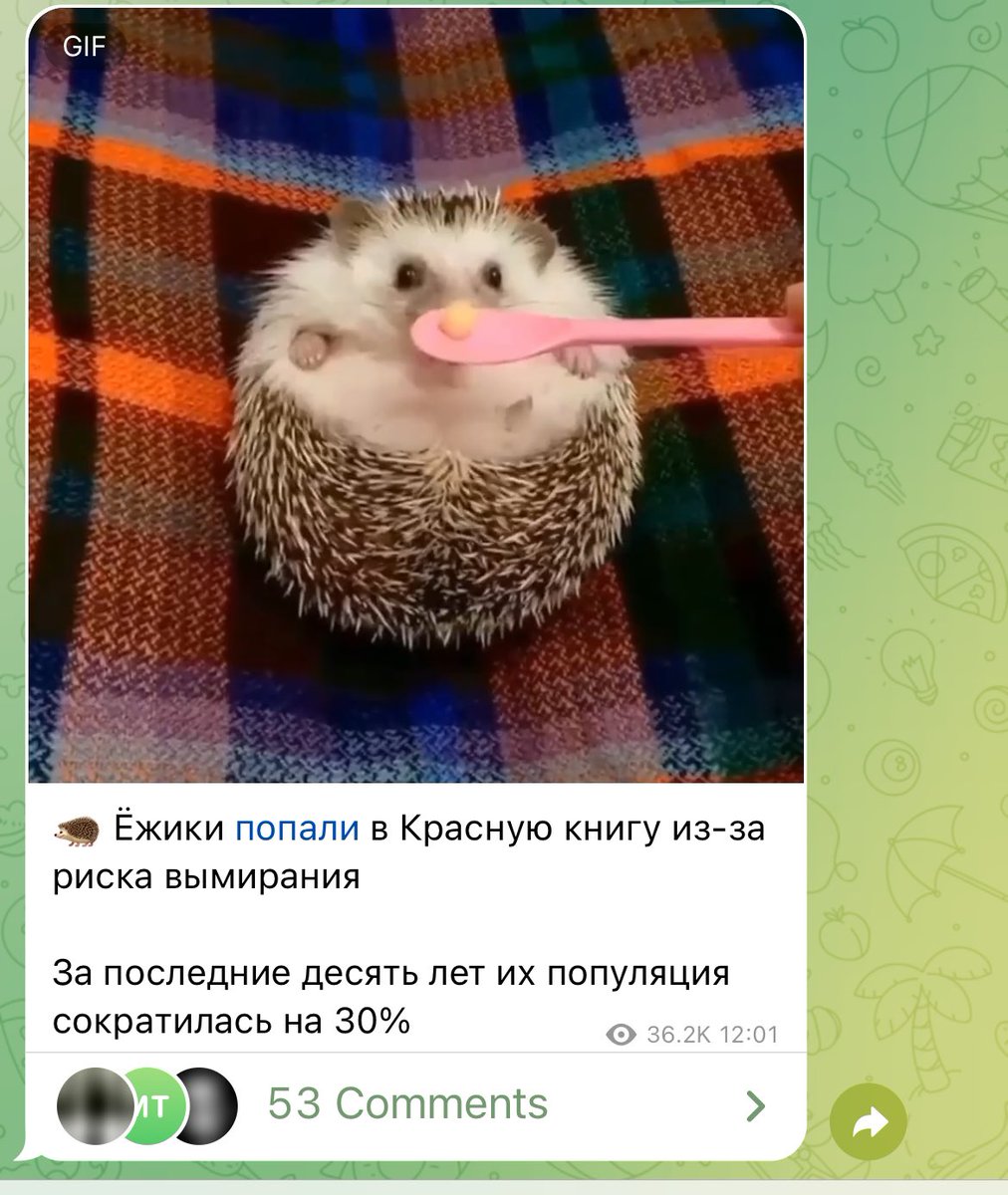 допизделся? 

простите теперь не могу нормально читать новости про (пизд)ёжиков