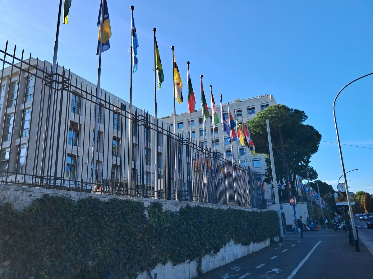 nico_fournier's tweet image. 47th annual meeting of @UN_FAO_GFCM starts in sunny Rome! A week long of #RFMO negotiations to hopefully adopt binding decisions to reinforce the sustainability of #fisheries, minimize envi impacts &amp;amp; support livelihoods of Mediterranean coastal communities #MedFish4Ever #SDG14