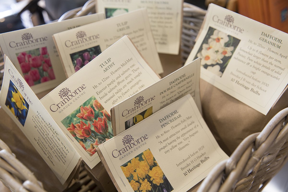 Cranborne Garden Cen (@cranbornegarden) on Twitter photo IN THE GARDEN
A key job for November from Cranborne Garden Centre
Perfect time to plant tulip bulbs, tulips grow best in a fertile soil in full sun.
#spring #tulips #bulbs #planting #toptip #gardening <a href="/CranborneGarden/">Cranborne Garden Cen</a> IN THE GARDEN
A key job for November from Cranborne Garden Centre
Perfect time to plant tulip bulbs, tulips grow best in a fertile soil in full sun.
#spring #tulips #bulbs #planting #toptip #gardening <a href="/CranborneGarden/">Cranborne Garden Cen</a>