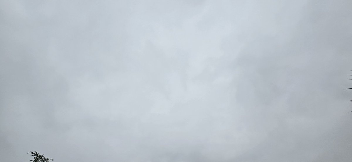 Demo2020cracy's tweet photo. This "weather" is unnatural, and it's clear to anyone willing to stop, observe, and think critically. 

Hour after hour.  
Day after day.  
Week after week.  
Gapless.  

Thick.  
Dim.  
Relentless gloom.  

There’s not a trace of blue sky.  
The sun is completely obscured.  
No familiar cloud forms to be found—only a dense fog created by geoengineered solar radiation management.  

It’s time to face reality. 
Talk about it. 
Unite with those who see the truth.
Help those who can't see it or believe it, over the line.