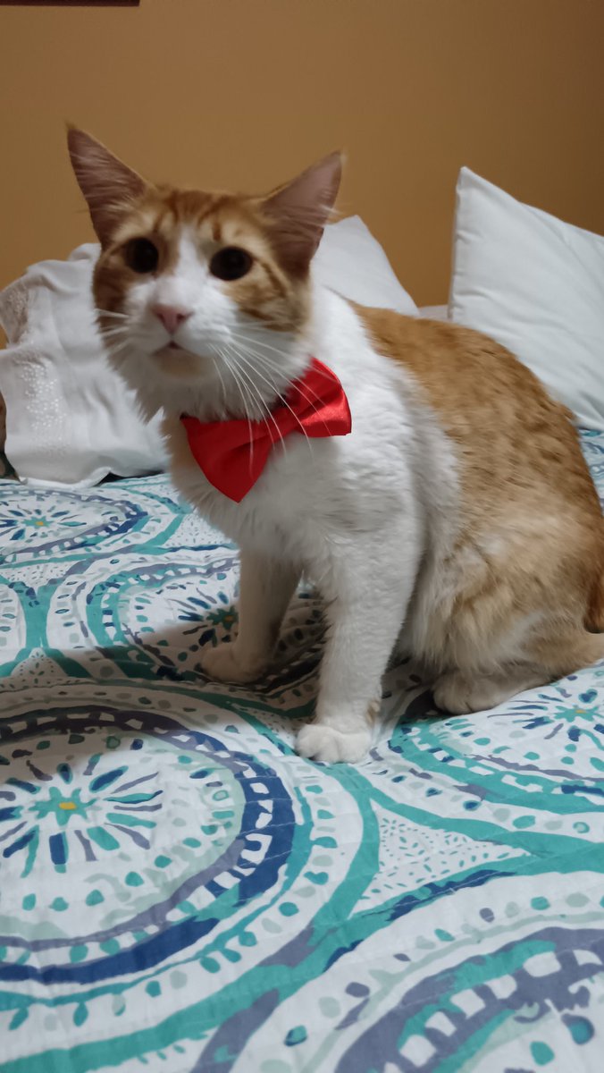 #despiertaconchv buenos días karina y Roberto que tengan lindo día y una excelente semana para todos