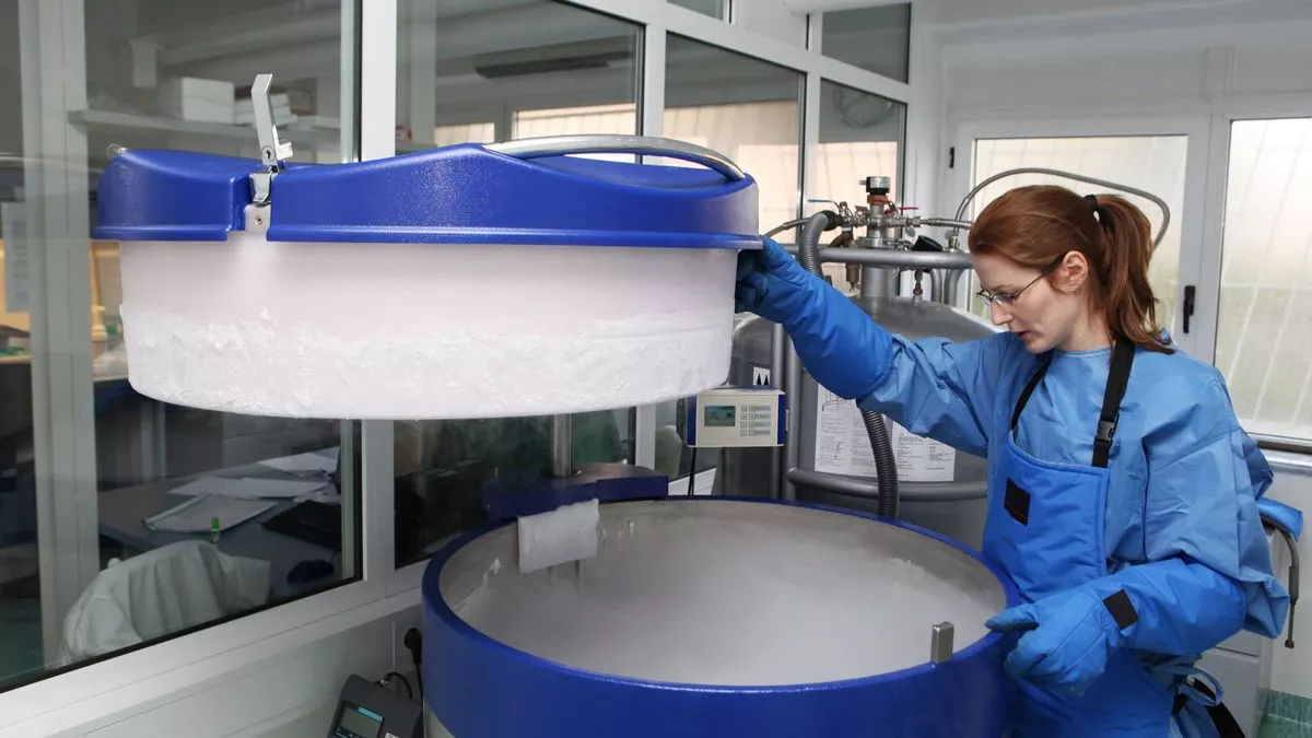 SCIupdate's tweet photo. A new wave of STEM-skilled women is leading the UK’s journey to becoming a science powerhouse! With 60% of SMEs saying it's easier to recruit women in STEM than a decade ago, SCI CEO Sharon Todd calls it a “well overdue” boost to the UK talent base

https://t.co/vTcM5LS87J https://t.co/11q9VLxDVo