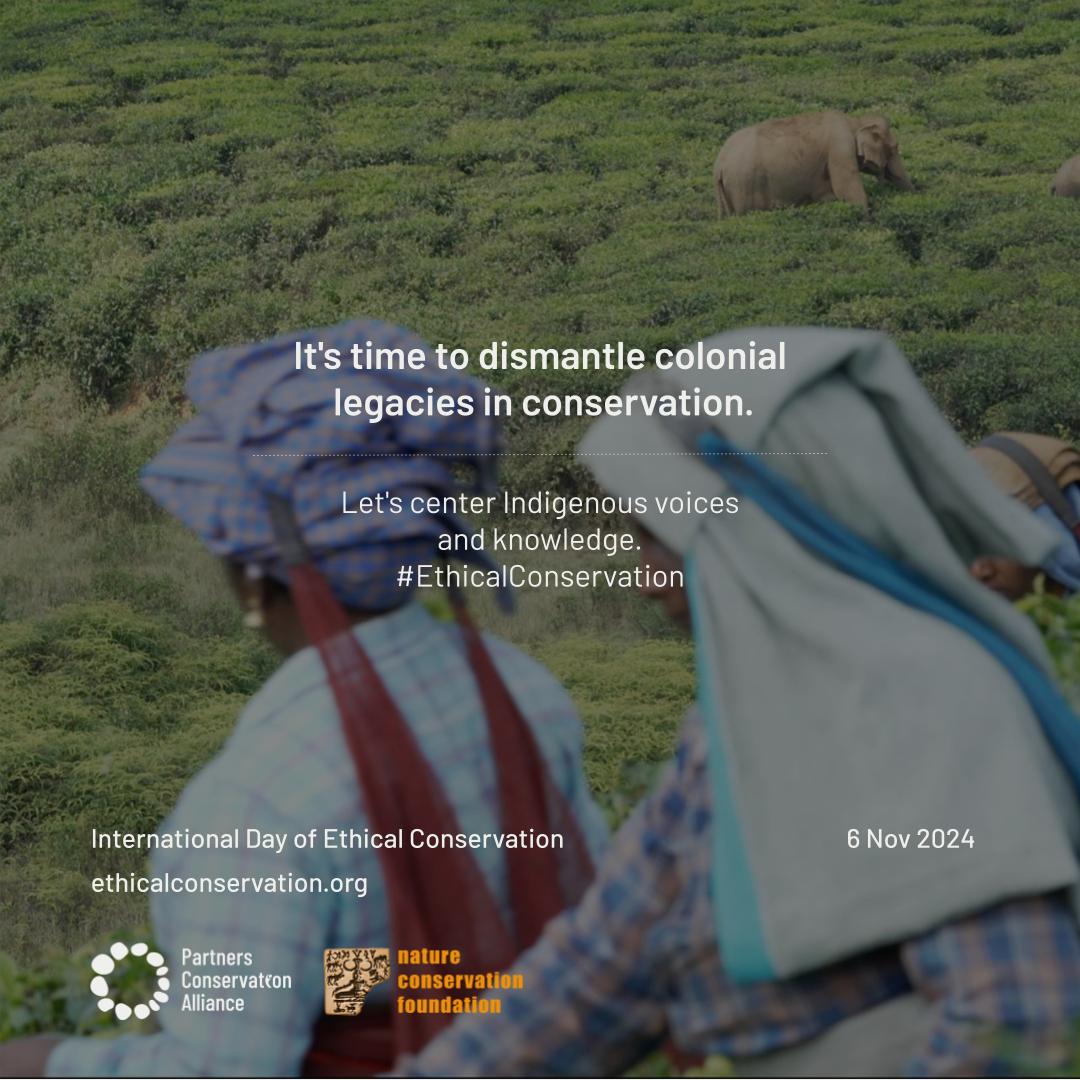 ncfindia's tweet photo. Let's support the efforts of Indigenous Peoples and local communities to protect their lands and resources. Join us on November 6 for a live panel discussion at https://t.co/sdgCY5B0Y9
#IndigenousLeadership #EthicalConservation #communityconservation #indigenousconservation https://t.co/H99RtxRxpY