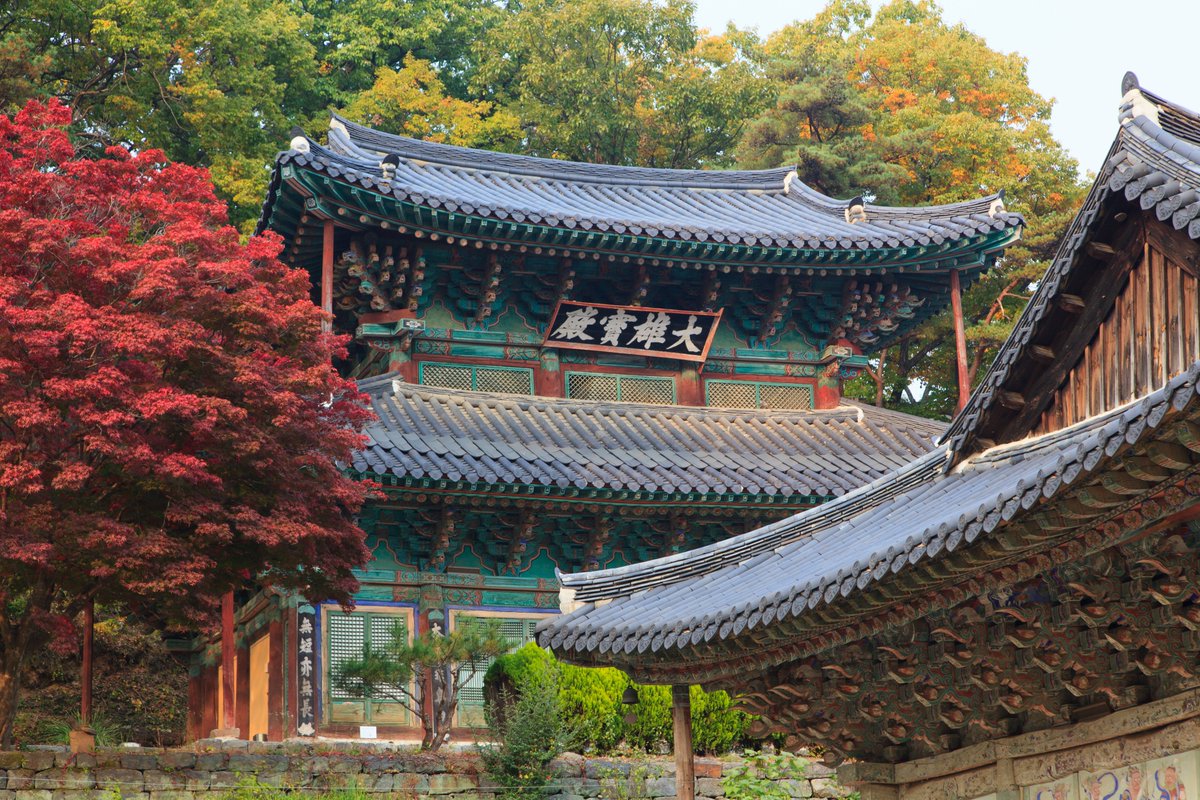 chlove_u's tweet photo. 탑 위에 탑, 공주 #마곡사 오층석탑이 #국보 가 됩니다. 고려후기에 만들어진 5층 석탑으로 '풍마동(風磨銅)'이라고도 불리는 길이 1.8m의 금동보탑을 옥개석 위에 올려 탑 위에 탑을 쌓은 것이 특징인데요, 우리나라 석탑에서는 유일하고 당시 불교문화의 국제적인 교류를 알 수 있는 석탑입니다. https://t.co/Ead2qeHgDF