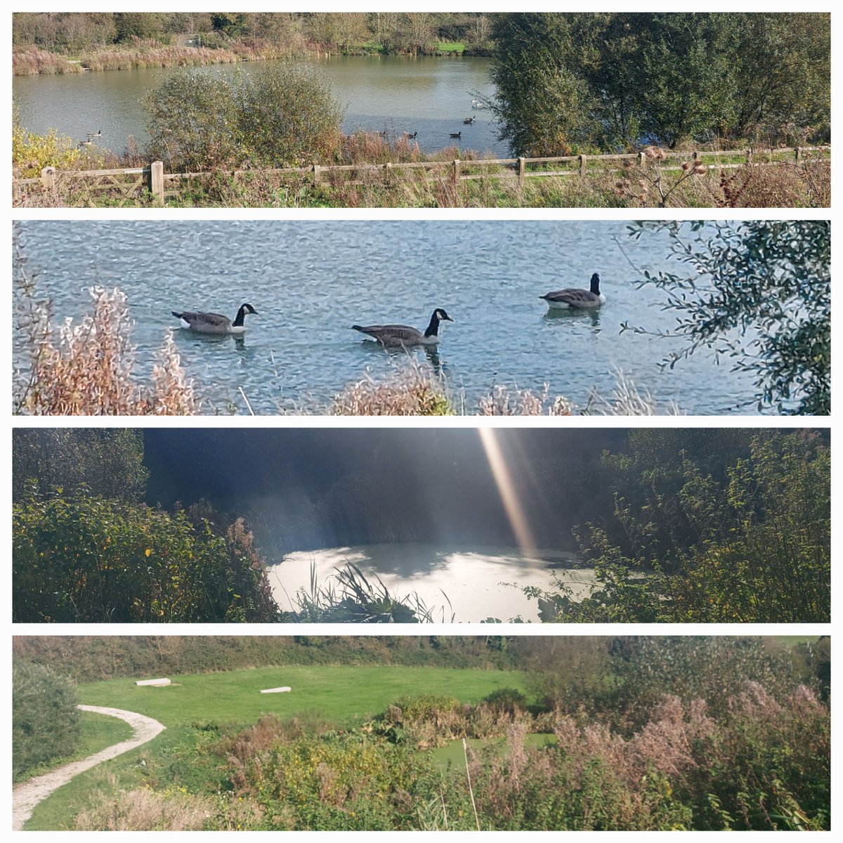 Some great photos from one of our Cornish advisors, Sarah Greep, from her visit to Whalesborough. Highlights include traditional hedgerows, a nature trail and new bird and insect boxes. #BellamyPledge #BHHPA