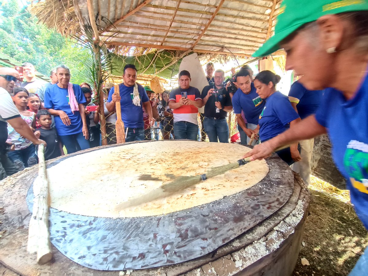Prensatuy's tweet photo. 🗞 En Ocumare del Tuy elaboraron el casabe más grande de Miranda. La mega torta de yuca midió 1.60 cm y se utilizó un saco del tubérculo para su preparación en budare artesanal

https://t.co/mIQ9N8gy11 https://t.co/kAQniJTGbO
