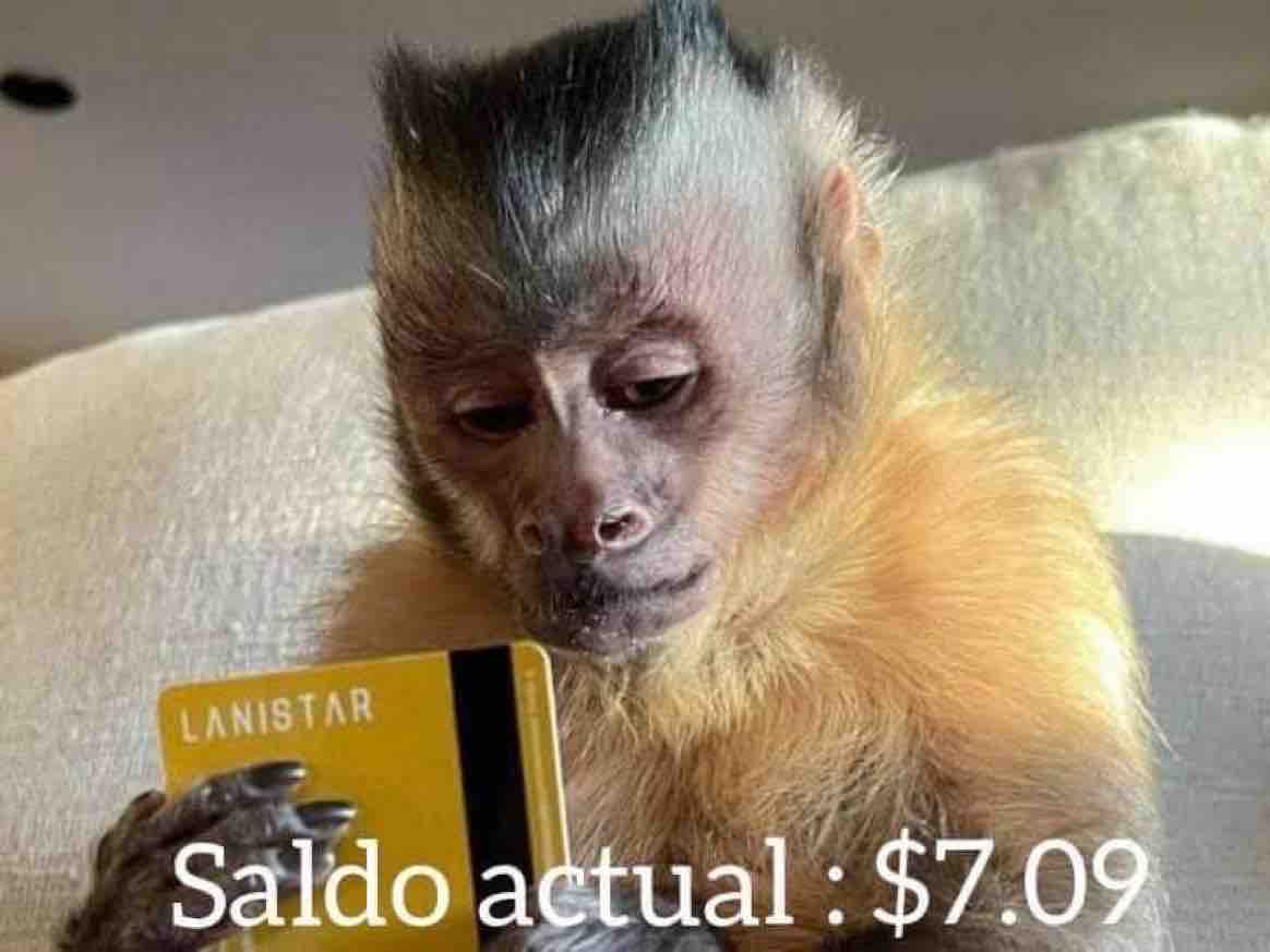 GevyJeans's tweet photo. Yo después de un fin de semana que tuvo 5 sábados: https://t.co/abyPQSo3bg