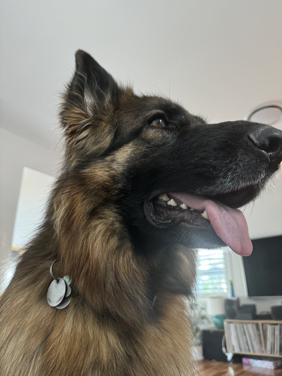 Isn’t he handsome 🥰