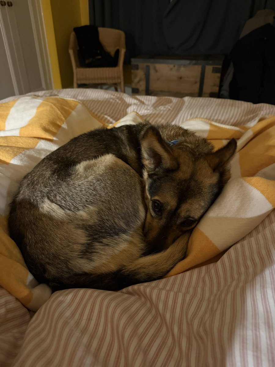 Rory Cellan-Jones tweet media