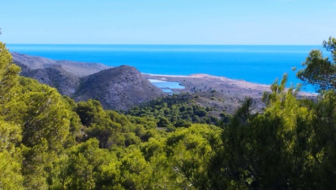 La_Carrasca's tweet image. 🟩Próxima ruta: Senderos de la costa del parque regional de Calblanque.
🗓 Domingo, 10 de noviembre.
🚦 Ruta no ensayada. Actividad exclusiva para socios de La Carrasca.
¡No es una excursión playera! Tramos aéreos. Con posibilidad de baño.
📸 Ventura Valero