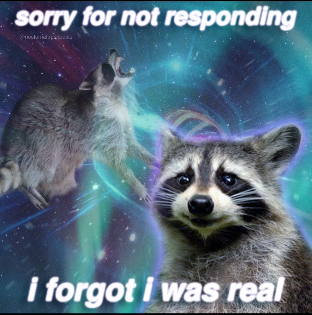 raccoon aesthetic. (@raccoonesthetic) on Twitter photo 