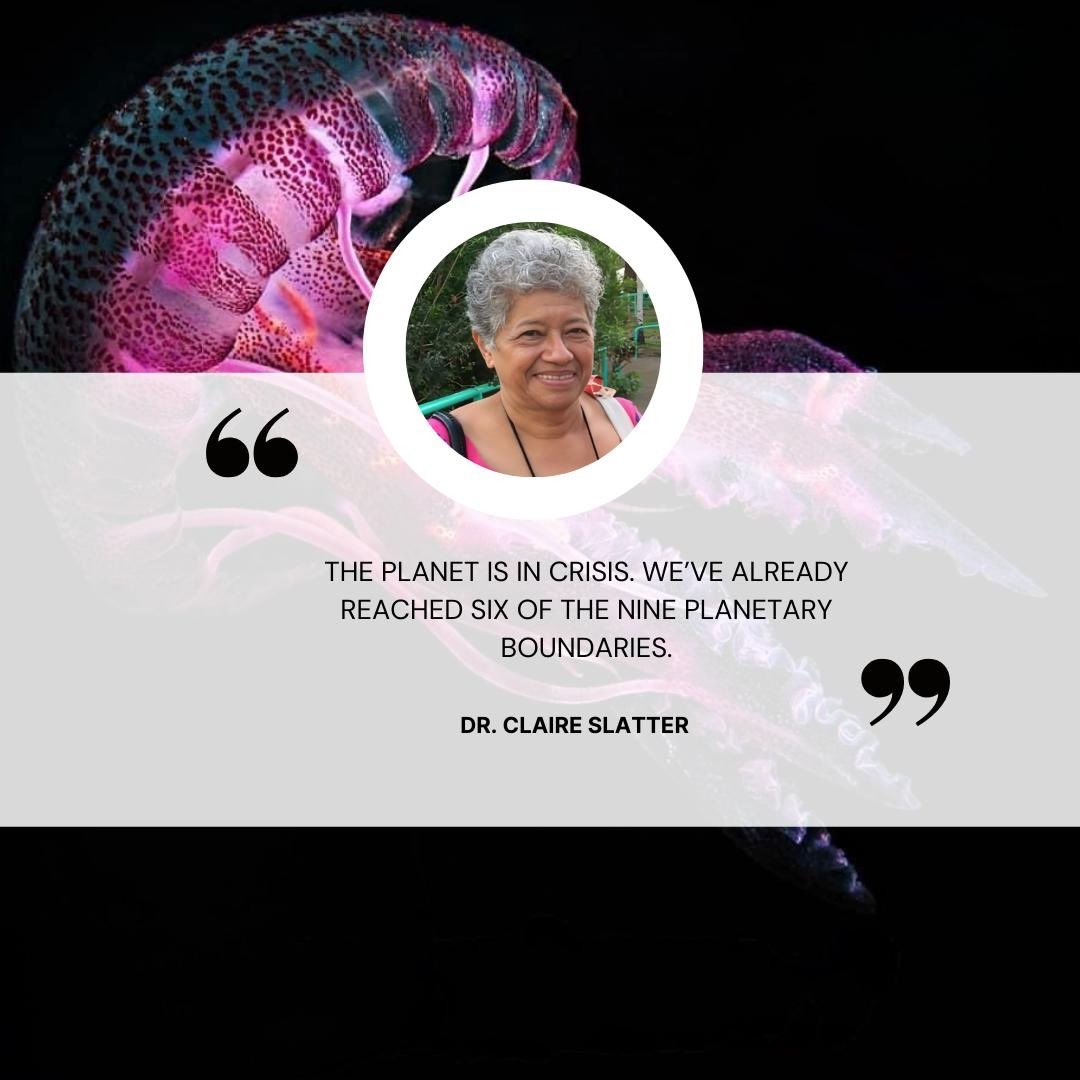 pacblueline's tweet image. Speaking @ the Deep Sea Symposium last week, @pangmedia representative Dr. Claire Slatter advocated not for a moratorium, but for an outright ban on #DSM. 

Dr.Slatter spoke on the difference about this proposed new industry of #DSM &amp;amp; why we as the Pacific should be concerned.✊🏾