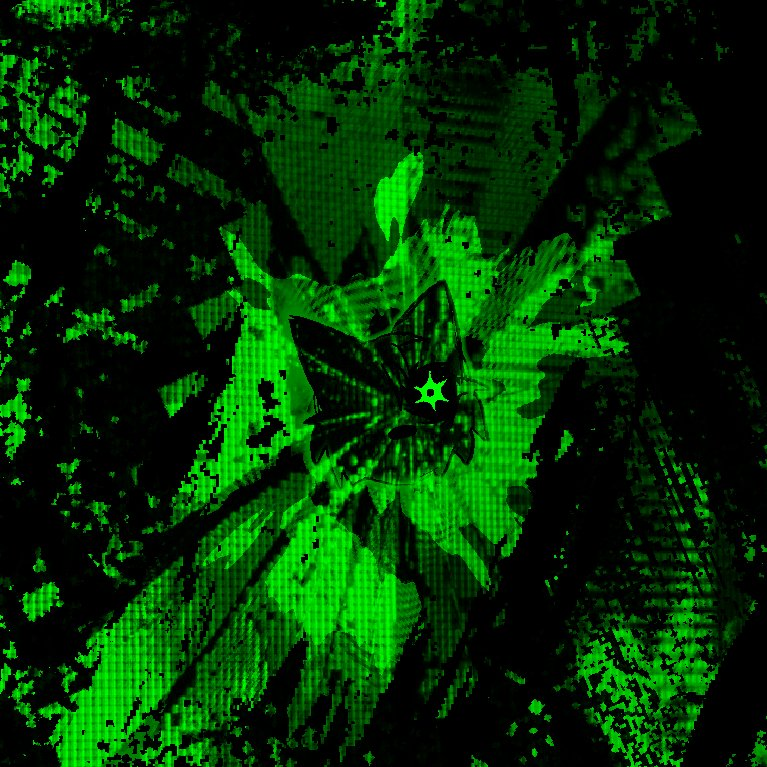 -- reed sprouts ! (@rastnreedyyy) on Twitter photo 