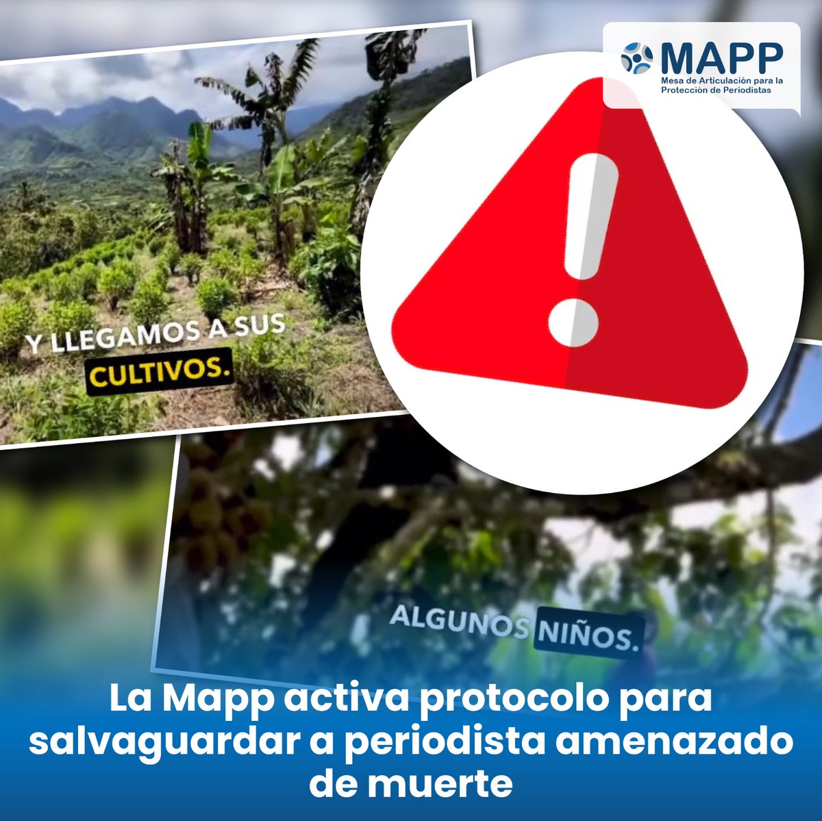 📣#COMUNICADO | Las organizaciones de la Mesa de Articulación para la Protección de Periodistas con base en los protocolos adoptamos las medidas de protección para salvaguardar la vida de Jorge Navarrete <a href="/Jorge_Lio_/">Jorge Navarrete</a>, periodista de <a href="/LaPosta_Ecu/">La Posta</a>   ⬇️ Abrimos 🧵