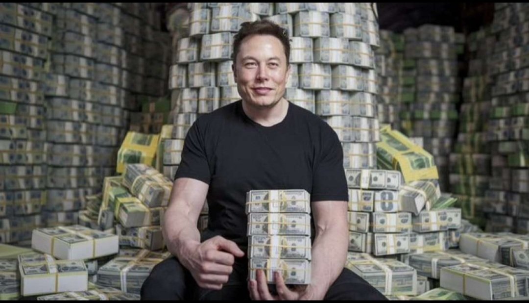 ELONMUSK PARODY (@elonmuskr78) on Twitter photo 