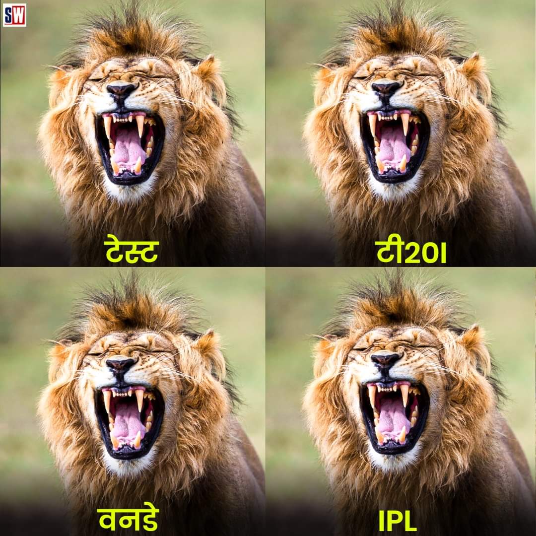 Khemrajcho's tweet image. ये टीम इंडिया का कौन सा खिलाड़ी है?
#CricketMeme #indVsNewZealand