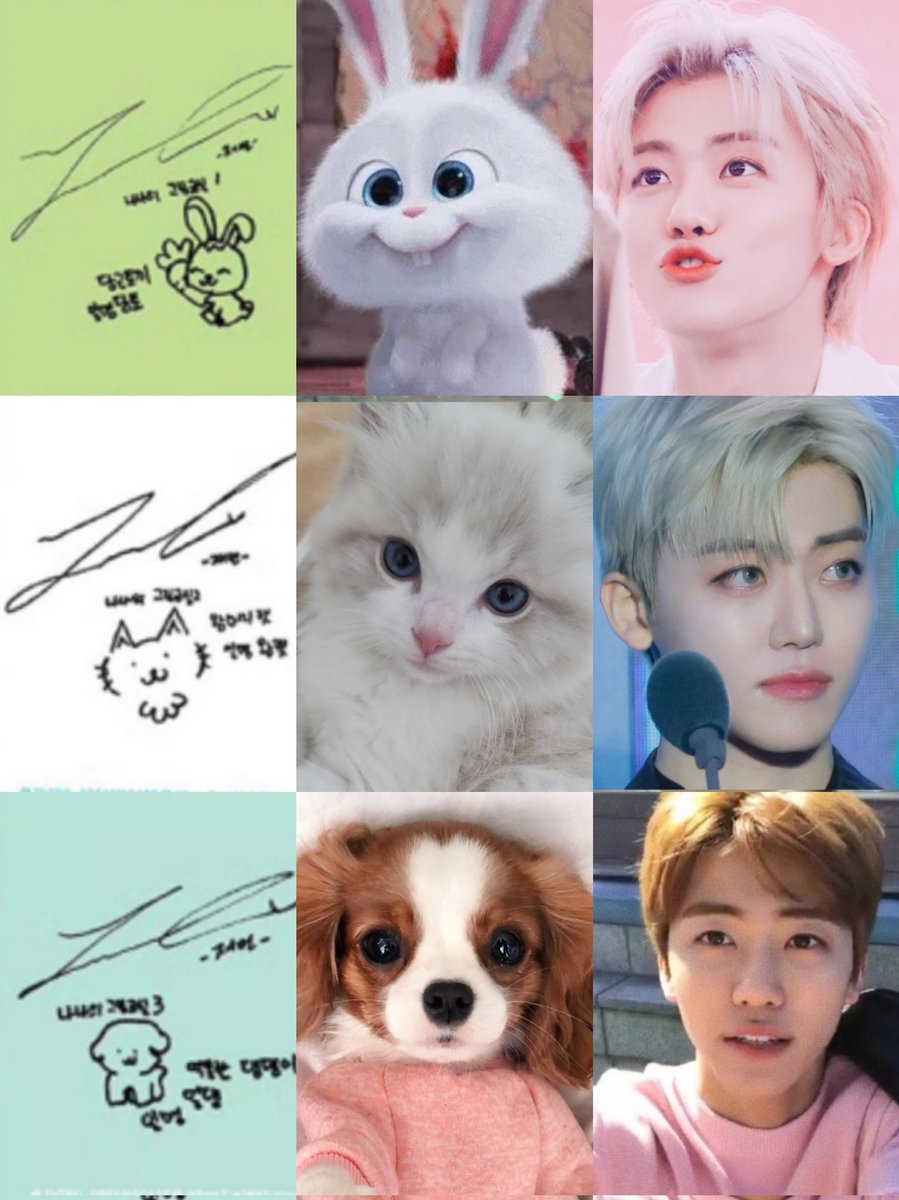 キラリ✨คุนนู๋น้องลูกเน้กโกะจัง🐈👑✨ tweet media