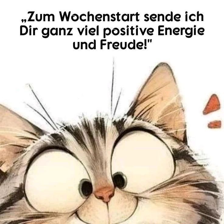 Knoepfchen's tweet photo. Guten Morgen zusammen und einen schönen Wochenstart 🙋🏻‍♀️☕️☕️💚🍀 https://t.co/47nPKWJ76t