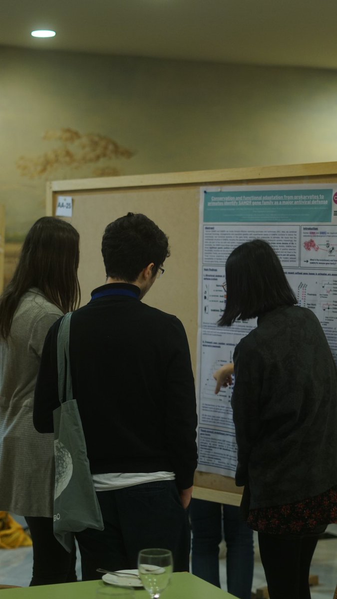 ETassios's tweet image. First day recap of #EMBOEvoCompGenomics. Two very inspiring talks from @maralbasoler and @bornberglab for microproteins and de novo genes respectively. Poster session then followed with many interesting works being displayed. Excited for day two. @vakirlis @guilderstern