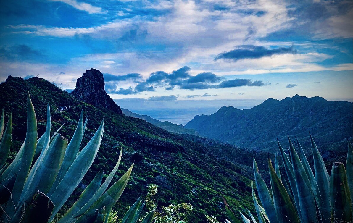 simonhotchkiss's tweet photo. Mallorca was a blast
Just what the doctor ordered 😌
#mallorca2024 #backtoblighty #backsoon #MrH https://t.co/MbZs7AxCxi