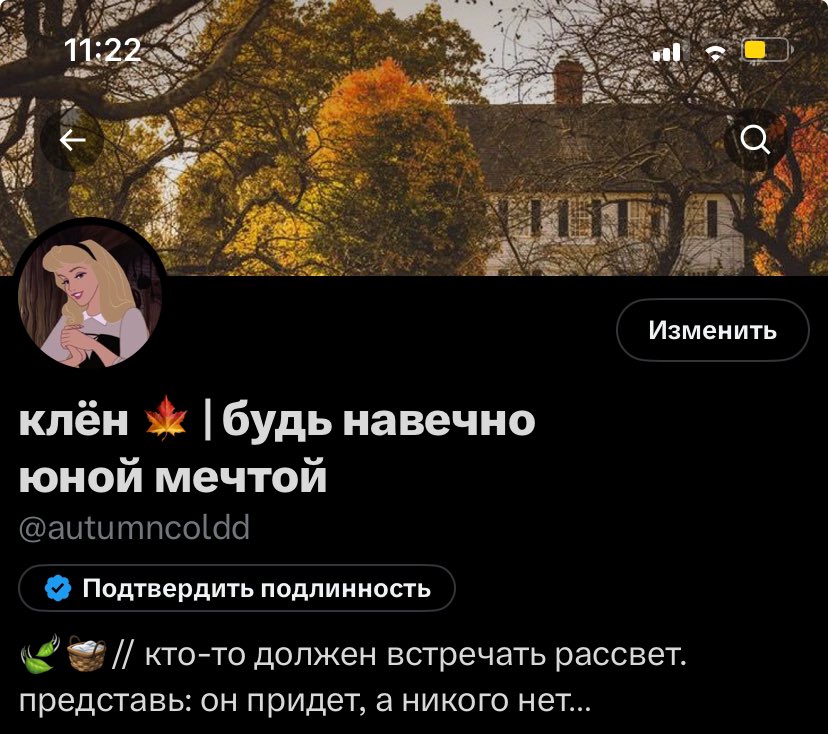 клён tweet media