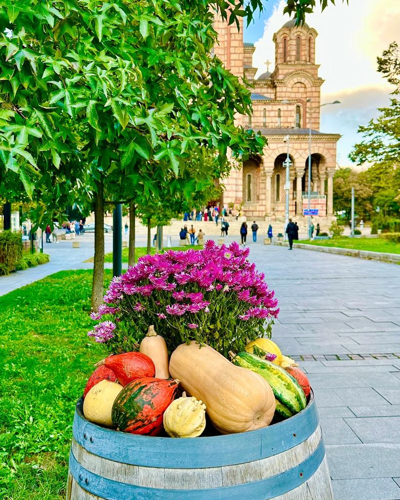 ig_belgrade's tweet photo. 📷 Slika dana 04.11.24. 📷
Picture of the day
Autor: 🏆tati_ana.z 🏆 https://t.co/yzPu1mgnd6