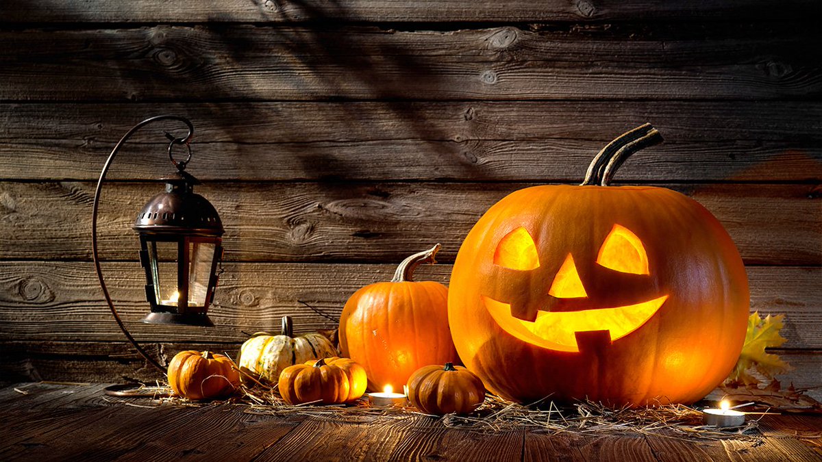 ๐ฌ๐๐๐ ๐ฉ๐๐ tweet media