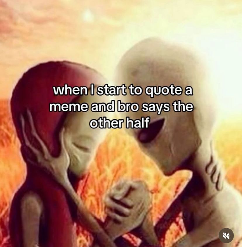 hourly_shitpost's tweet photo. https://t.co/KDGdmIYIlB