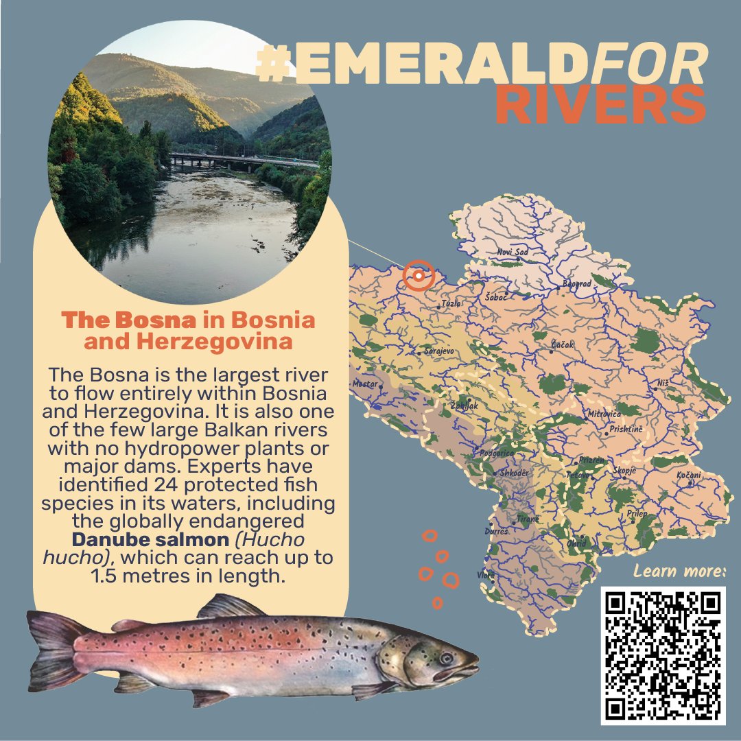#EmeraldForRivers🌿 We call on Bosnia and Herzegovina to commit to expanding the Emerald Network and safeguarding its rivers for future generations. The Bosna river is a vital resource with unique biodiversity that needs protection now.