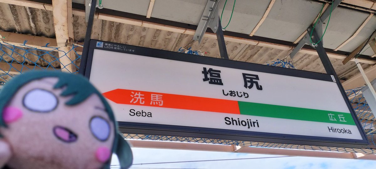 KorimizuYuto's tweet photo. #いいおしりの日

🔖⁷しおっ https://t.co/Gg8jT3WMgD