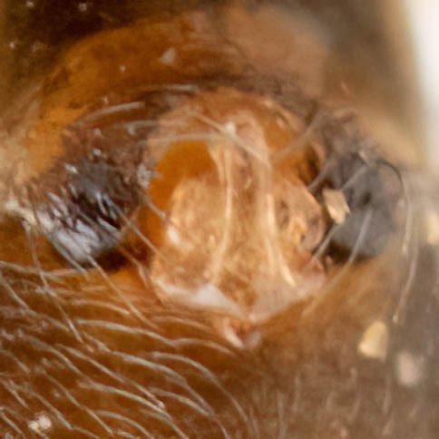 monday_spider tweet media