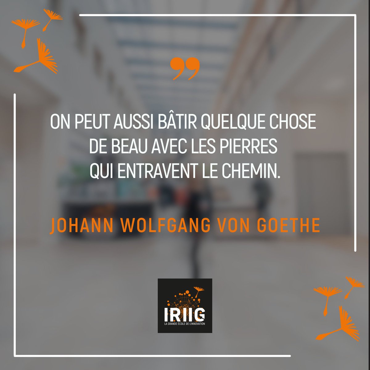 IRIIG - School for Business & Innovation tweet media