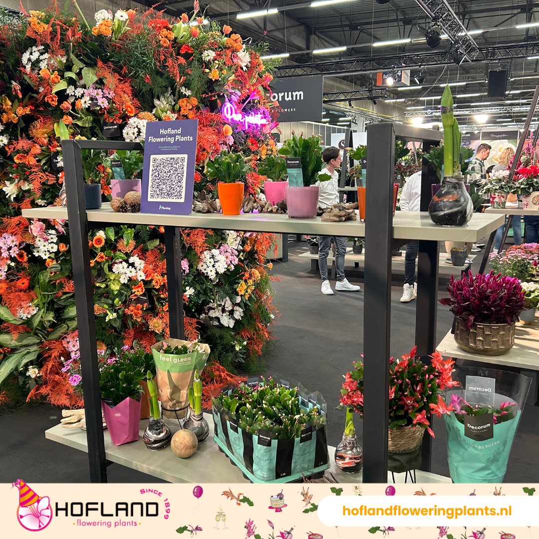 Het is alweer bijna zover; de Royal FloraHolland Trade Fair 2024! De grootste beurs van het jaar, zien we je daar?

#Decorum #Hoflandfloweringplants #Royalflowerholland #Tradefair #Inspiratie