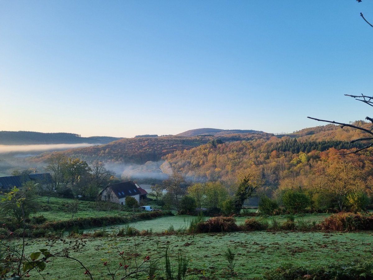 Docteur Patate (@docteurepatate) on Twitter photo 