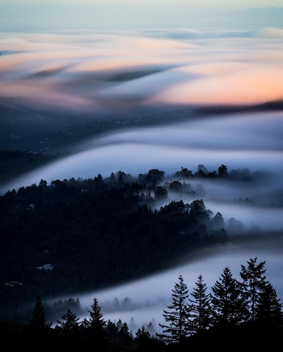 earthcurated's tweet photo. San Diego, California https://t.co/gFBm8yCdkZ