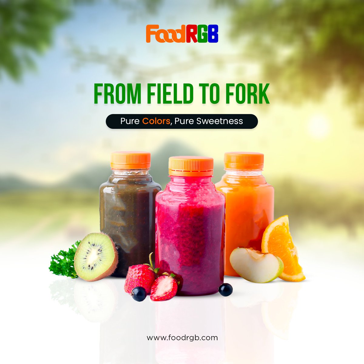 FoodRgb's tweet image. Commitment to quality means every shade and taste is sustainably sourced and naturally crafted with the brilliance of real ingredients.

#FieldToFork #NaturalIngredients #PlantBasedColor #CleanLabel #PureSweetness #SustainableFood #FoodInnovation #EcoFriendlyColor #NatureIsLife