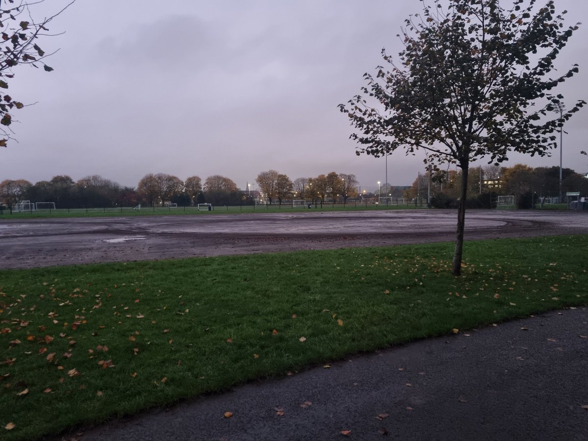 Either someone was doing donuts, or they were trying to recreate a ring-ditch.