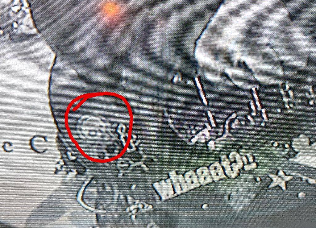 Just Stop Oil sticker spotted at a live performance for the BBC last week — but can you guess the musician/ band?